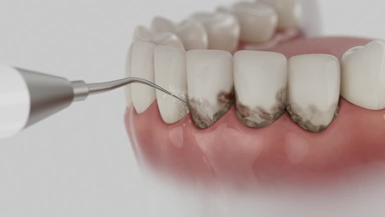 Reliable Dental contractor in Albany County County, WY by Dentist Open Now